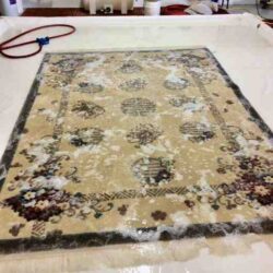 Rug Services in Michigan