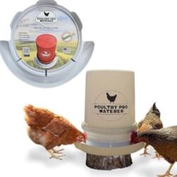 Diy Chicken Waterer
