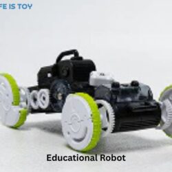 Educational Robot (2)