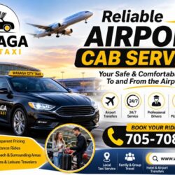wasaga cab