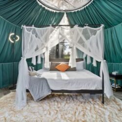 Bubble Dome Tent