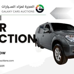 Global car auction