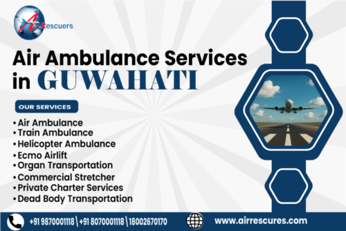 Air Ambulance Services in Guwahati Air Ambulance Services in Guwahati