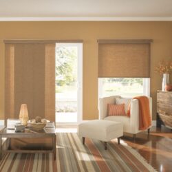 Panel Window Shades
