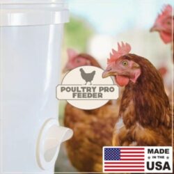 DIY Poultry Feeder