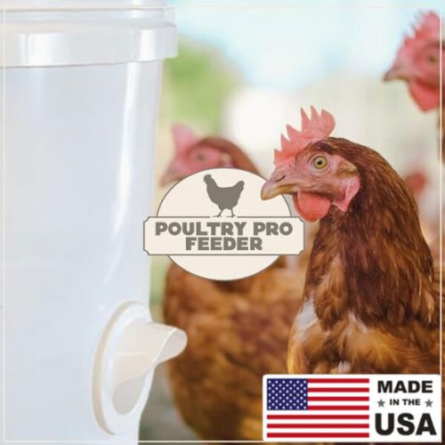 DIY Poultry Feeder DIY Poultry Feeder