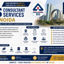 Best BIS Consultant Services in Noida