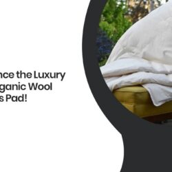 organic wool mattress pad(2) 1