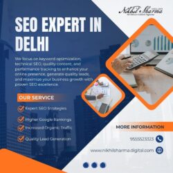 seo expert in delhi (2)