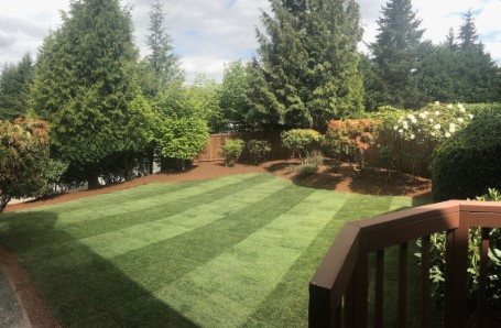 Professional Lawn Care Services Professional Lawn Care Services