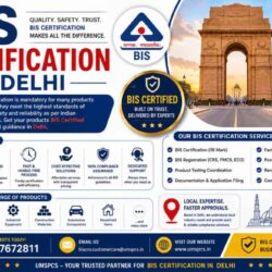 BIS Certification in Delhi