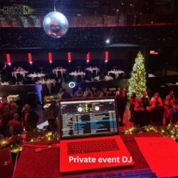 Private event DJ (16)
