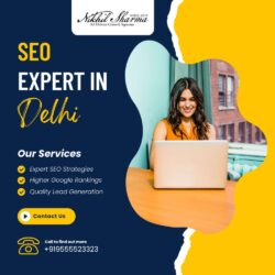 SEO EXPERT IN DELHI