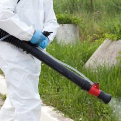 mosquito-control