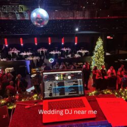 Wedding DJ near me (7)