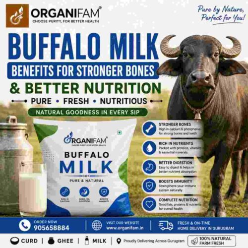 Buffalo Milk Benefits for Stronger Bones Better Nutritio-50kb Buffalo Milk Benefits for Stronger Bones Better Nutritio-50kb