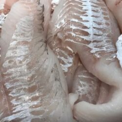 Haddock-Fillets-Pic-e1572614114917-min-450x450