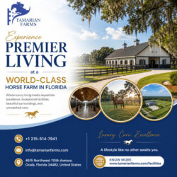 Horse farm in Florida (1)