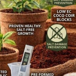 Coco Peat Block For Sale (1)
