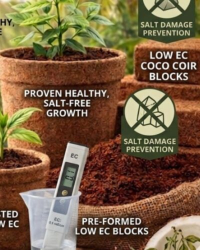 Coco Peat Block For Sale (1) Coco Peat Block For Sale (1)
