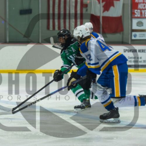 Hockey Team Photography Hockey Team Photography