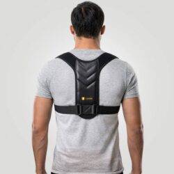 support belt