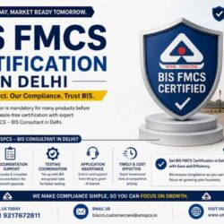 BIS FMCS Certification in Delhi