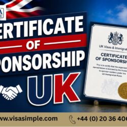 certificate of sponsorship