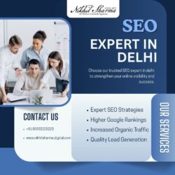 seoexpertindelhins