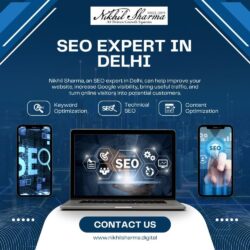 seoexpertindelhi