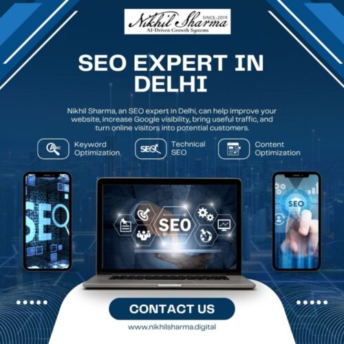 seoexpertindelhi seoexpertindelhi
