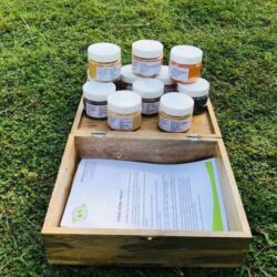 Natural dye starter kit supplier in India