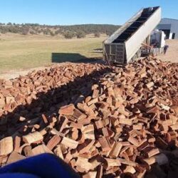 Firewood for outdoor 