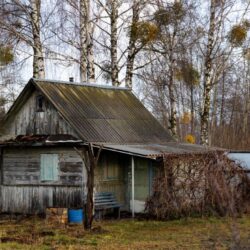 Old Shed Removal Servicess