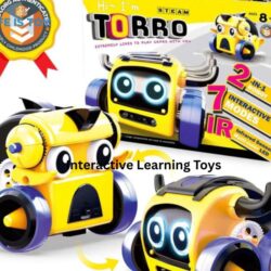 Interactive Learning Toys (4)