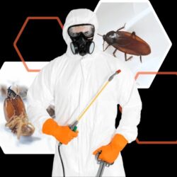 imageye___-_imgi_5_exterminator-in-protective-mask-and-uniform-holdin-2-1.png.bv