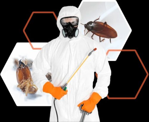 imageye___-_imgi_5_exterminator-in-protective-mask-and-uniform-holdin-2-1.png.bv imageye___-_imgi_5_exterminator-in-protective-mask-and-uniform-holdin-2-1.png.bv