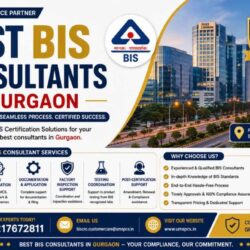 Best BIS Consultants in Gurgaon