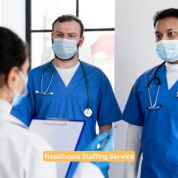 Healthcare Staffing Service (12)