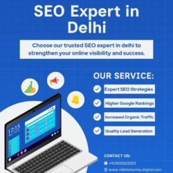 seo expert in delhi NIKHILSHARMA