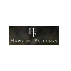 hawkinsfalconry