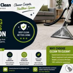 carpet cleaning services Essendon