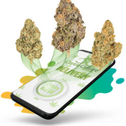 Cannabis Online Order