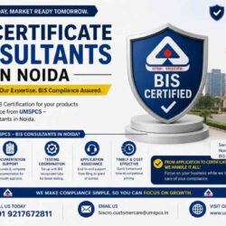 BIS Certificate Consultants in Noida