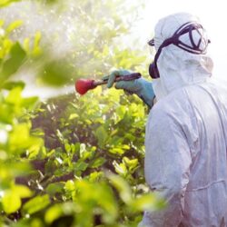 Pesticide Control