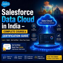 Salesforce-Data-Cloud-in-India