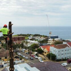 Tree Removal North Shore1