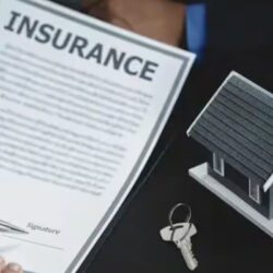Insurance Quotes