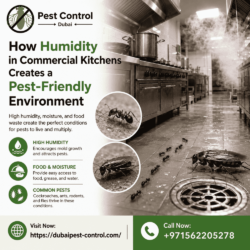How Humidity in Commercial Kitch (1)