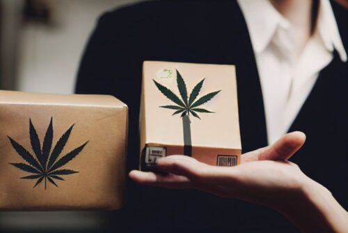 legal-marijuana-distribution-illegal-drug-smuggling-concept-hemp-seed-oil-herbal-medications-scaled legal-marijuana-distribution-illegal-drug-smuggling-concept-hemp-seed-oil-herbal-medications-scaled